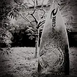 Sunset Embassy Surf House בית נופש